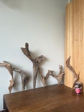 Driftwood pieces long for sale  UK