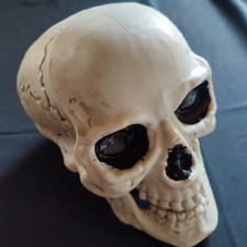 Totenkopf totenschädel rnamen gebraucht kaufen Totenkopf totenschädel rnamen gebraucht kaufen  Nittendorf