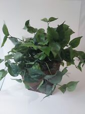 Artificial green plant for sale  Burns