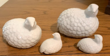 White partridge bird for sale  Mankato