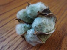 Rare green cotton for sale  Fort Myers