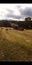 1st cut meadow for sale  LLANFYLLIN