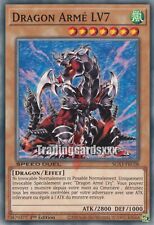 Dragon armé lv7 d'occasion  Argenteuil