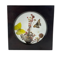 Brazilia dunston framed for sale  Westminster