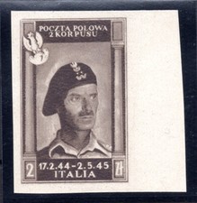 Corpo polish gen. usato  Roma