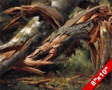 Fallen tree twisted for sale  South Jordan