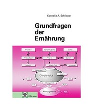 Grundfragen ernährung corneli gebraucht kaufen  Trebbin