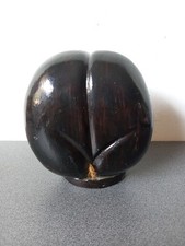 Curiosité coco fesse d'occasion  Redon
