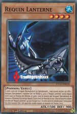 Requin lanterne etco d'occasion  Argenteuil