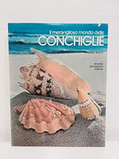 Meraviglioso delle conchiglie usato  Vejano