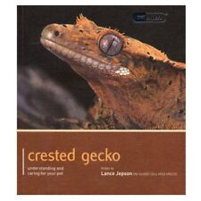 Crested gecko pet for sale  UK