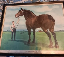 Rare antique copyrighted for sale  Lenoir