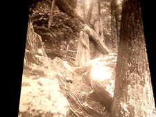 FOTO de Mulher MADEIRA CÊNICA Negativa Vintage Lanterna Mágica VIDRO Imagem 77 comprar usado  Enviando para Brazil