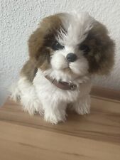 Kleiner shih tzu gebraucht kaufen  Frankfurt am Main