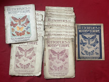 Editions 1902 butterflies for sale  HEREFORD
