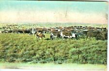 Chinook grazing beef for sale  Dayton