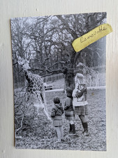 Old photo woman for sale  BARNOLDSWICK