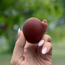 Chocolate egger hatching for sale  Altamont