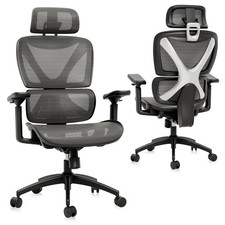 Gabrylly ergonomic office for sale  Haltom City
