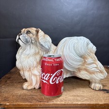 Ronzan pekingese dog for sale  ACCRINGTON
