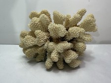 Large dry white for sale  Kirkland