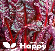 Microgreens beet leaf for sale  DONCASTER