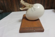 Rare vintage taxidermy for sale  Humble