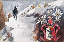 Alpini battaglione alpini usato  Rovigo