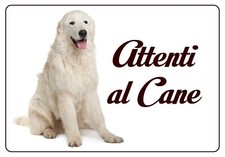 Pastore maremmano targa usato  Valgioie