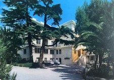 Cartolina villa regina usato  Vestone
