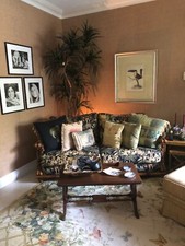 Tropical sofa bed for sale  Daniels