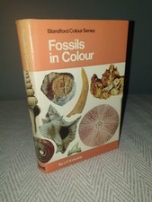 1975 fossils colour for sale  NUNEATON