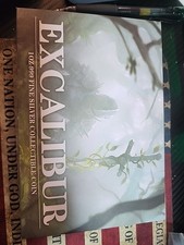 2025 chad excalibur for sale  New Haven