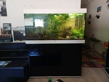 Aquarium 450 liter gebraucht kaufen  Philippsburg
