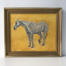 White stallion horse for sale  DEWSBURY