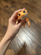 Printed leopard gecko for sale  Pinehurst
