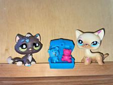 Lot chats accessoires d'occasion  Pfastatt