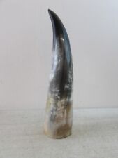 drinking horns for sale  SHEFFIELD