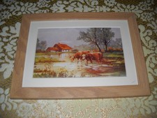 Cows stand pond for sale  Fresno