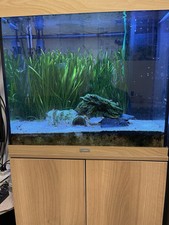 Eingefahrenes aquarium juwel gebraucht kaufen  Mörfelden-Walldorf