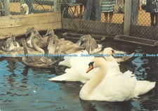 D037392 dorset. abbotsbury for sale  WARLINGHAM