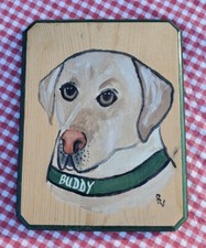 Hand painted pet for sale  Forest City