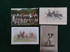 devon somerset staghounds for sale devon somerset staghounds for sale CHESTERFIELD