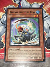 Carte grenouille flip d'occasion  Bruay-la-Buissière