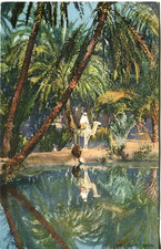 Oasis camel reflection for sale  DURHAM
