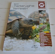 Marta avanzi tartarughe usato  Zermeghedo