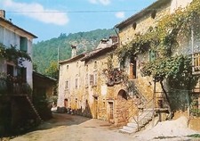 Cartolina zeno montagna usato  Vimodrone