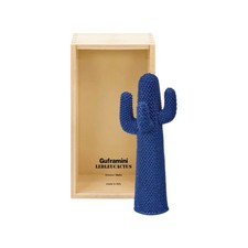 Cactus lebleu guframini usato  Arzignano