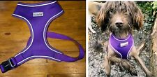 Doodlebone purple dog for sale  CASTLEFORD