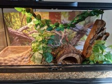 Zoomed gallon size for sale  Wheeling